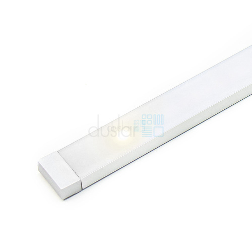 NETxT (DLIGHT)