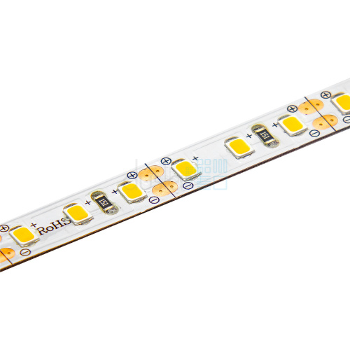 DLIGHT 12V